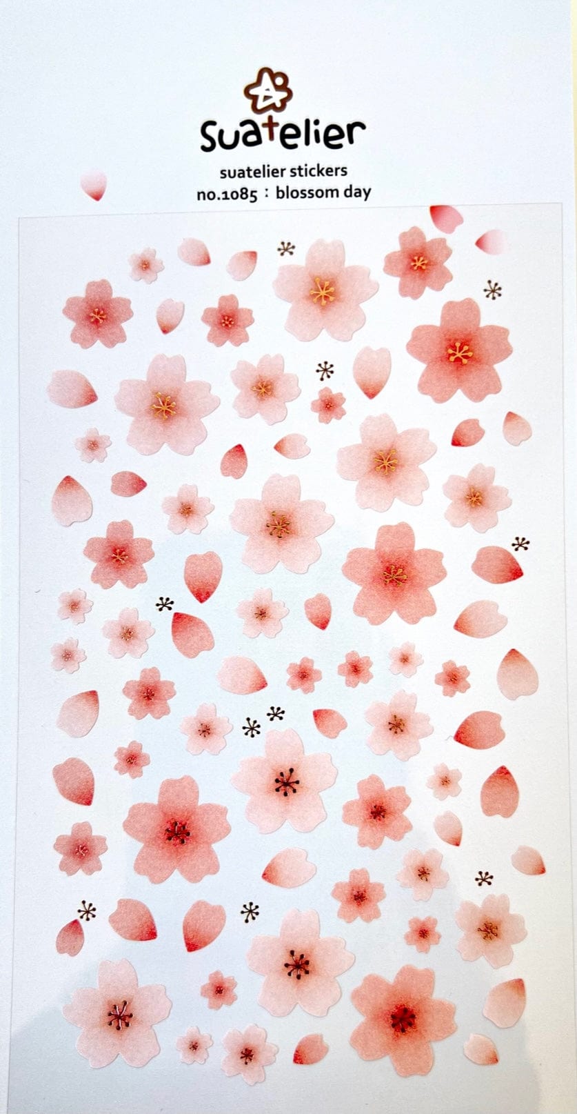 Blossom Day Cherry Blossom Sakura Stickers