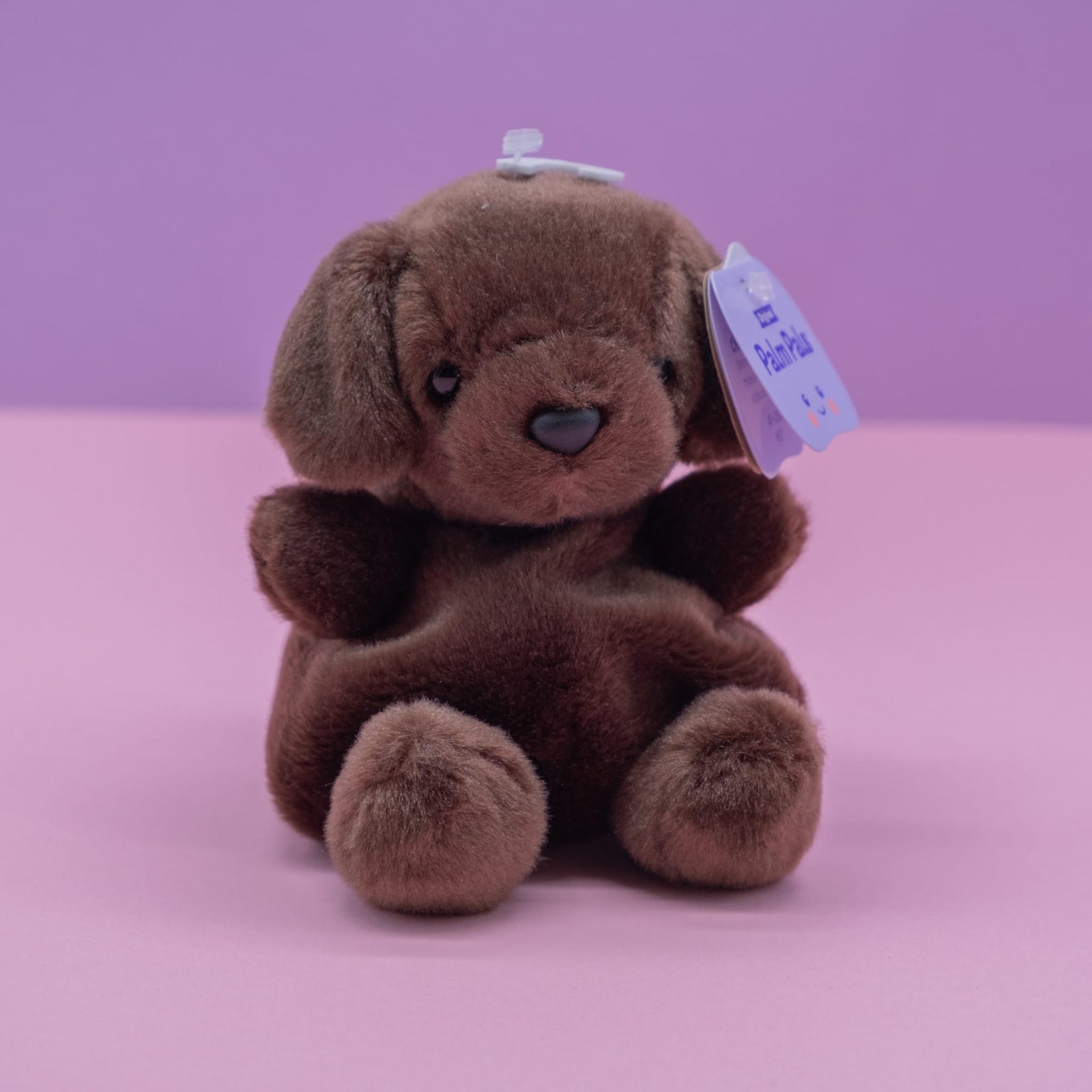 Sienna Chocolate Lab Palm Pals 5" Plush