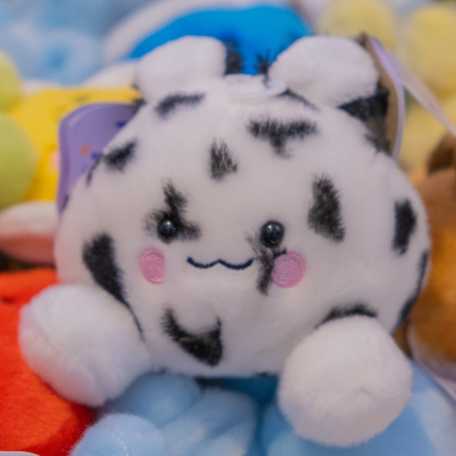 Usagi Sea Bunny Palm Pals 5" Plush