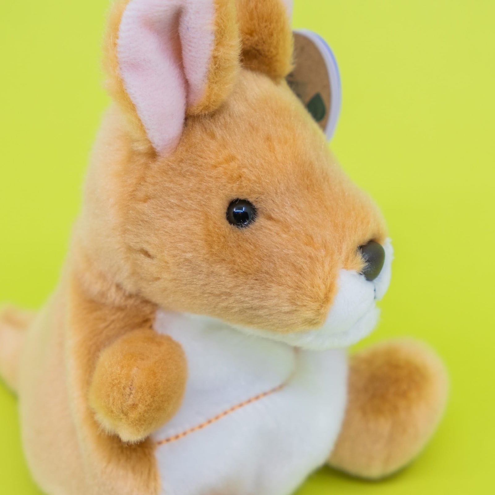A cute plush of a squirrel.