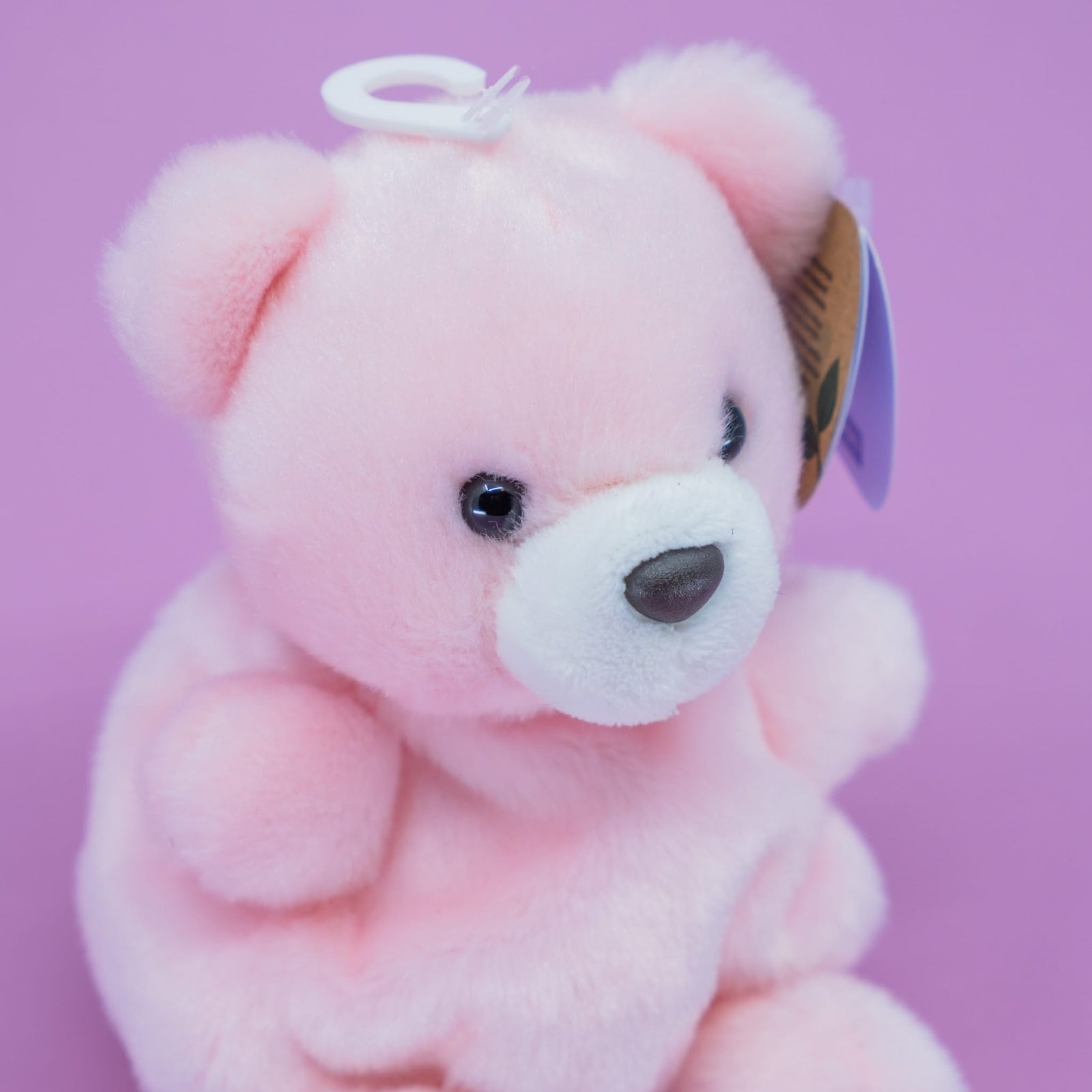 Bailey Baby Bear Palm Pals 5" Plush