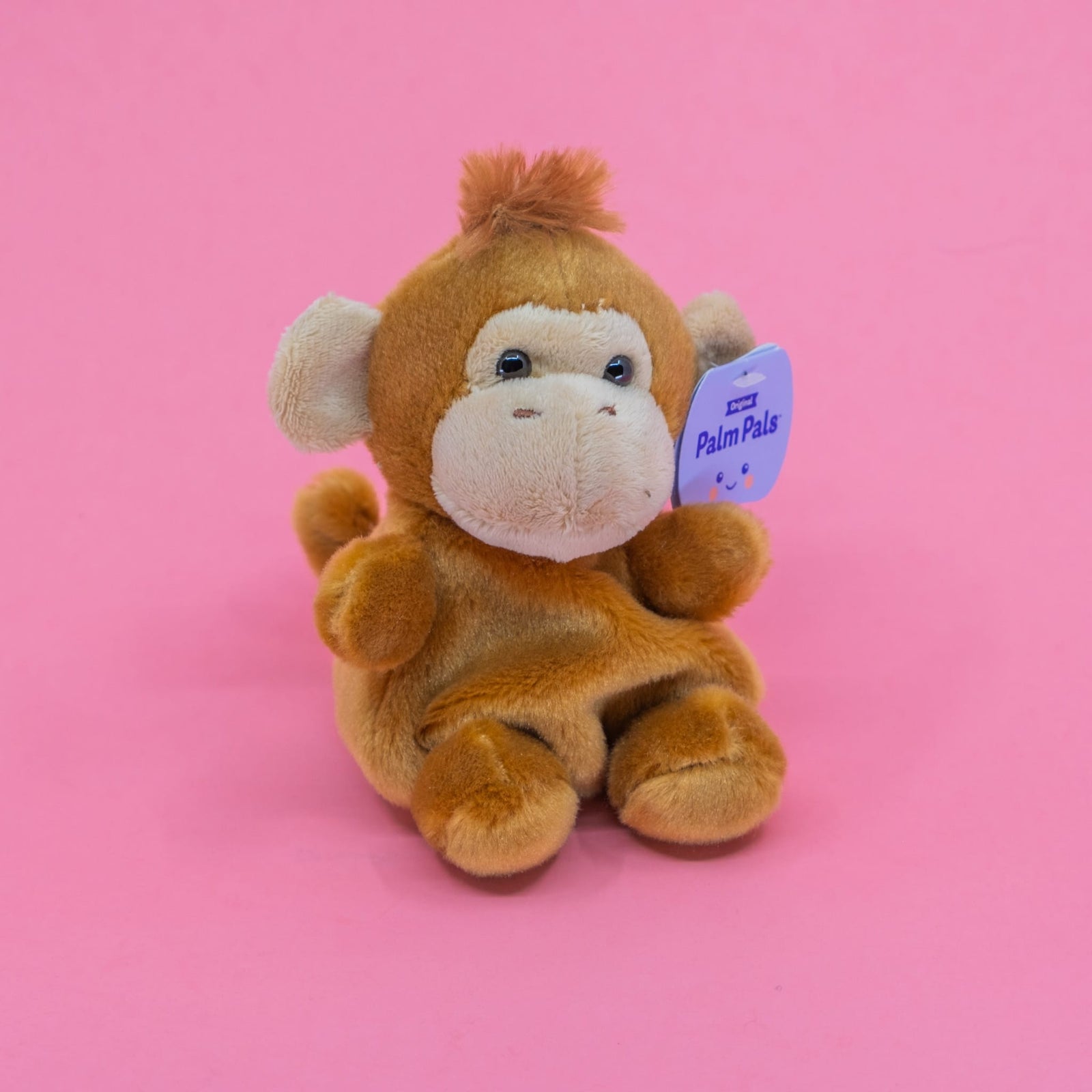 A cute little plush of a monkey.