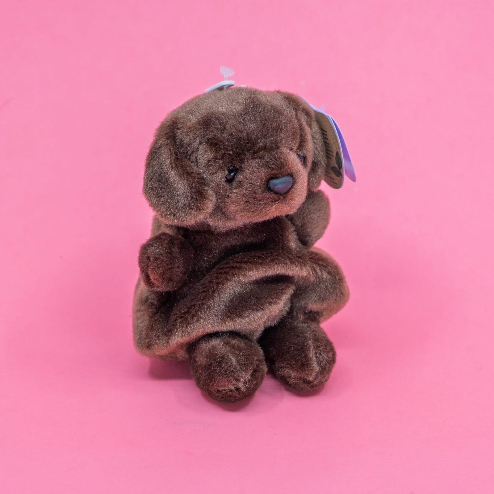 Sienna Chocolate Lab Palm Pals 5" Plush