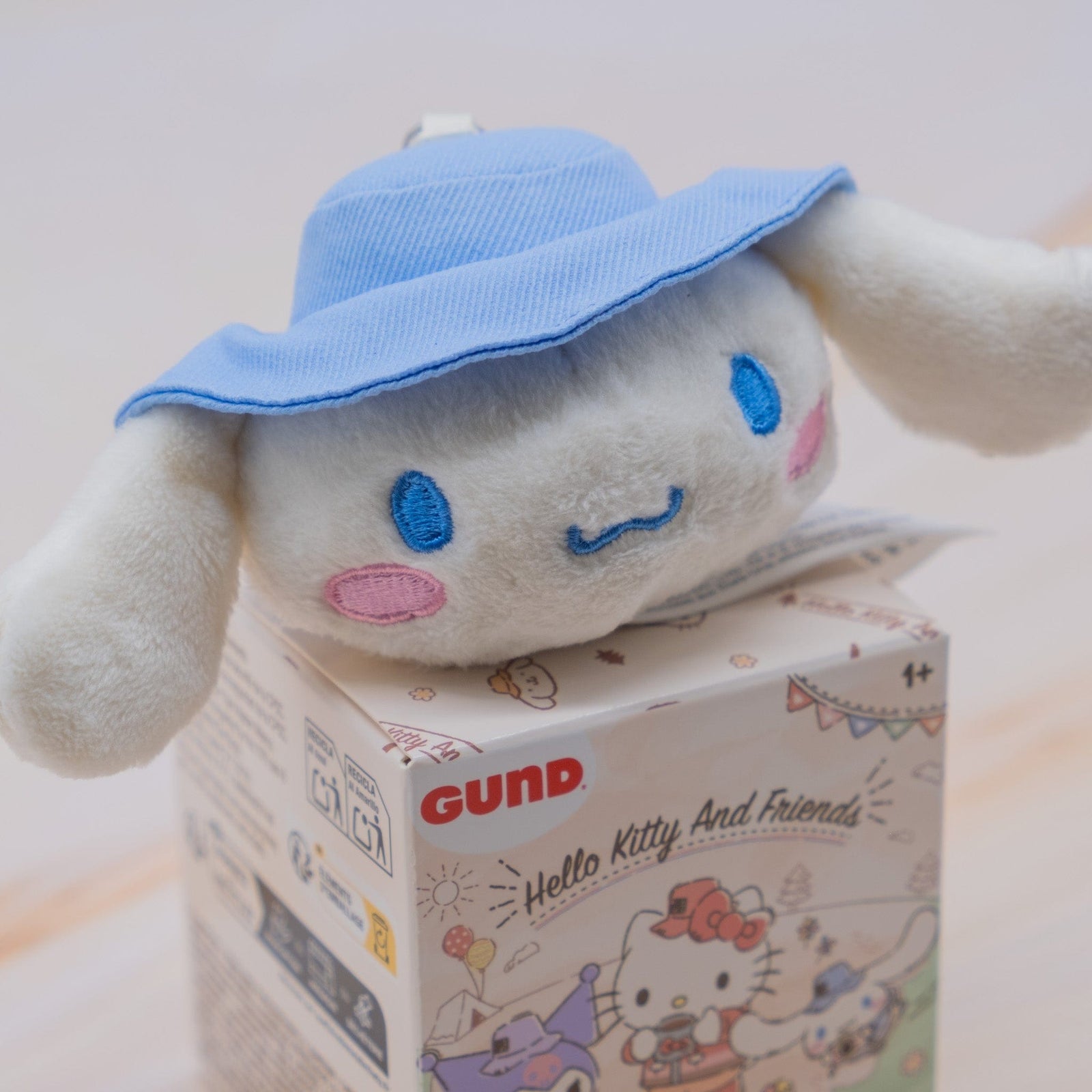 Hello Kitty and Friends Camping Collection Blind Box