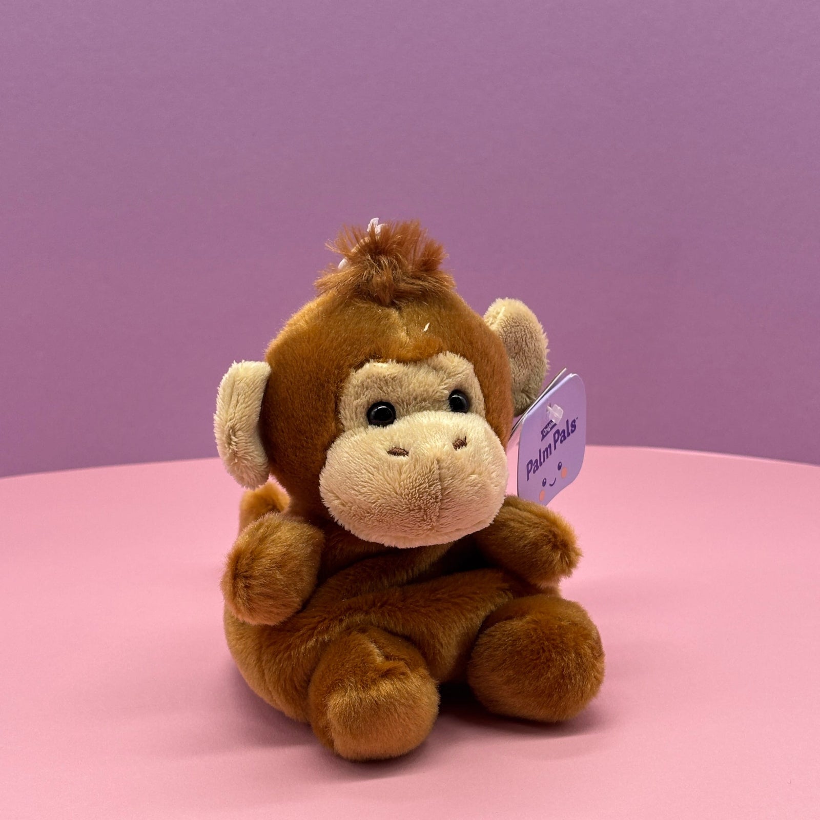 Boomer Monkey Palm Pals 5" Plush