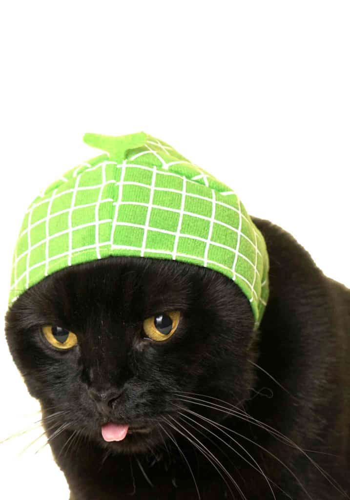 Caps for Cats Fruit Version Blind Box