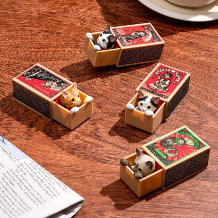 Peekaboo Cat in Matchbox Blind Box