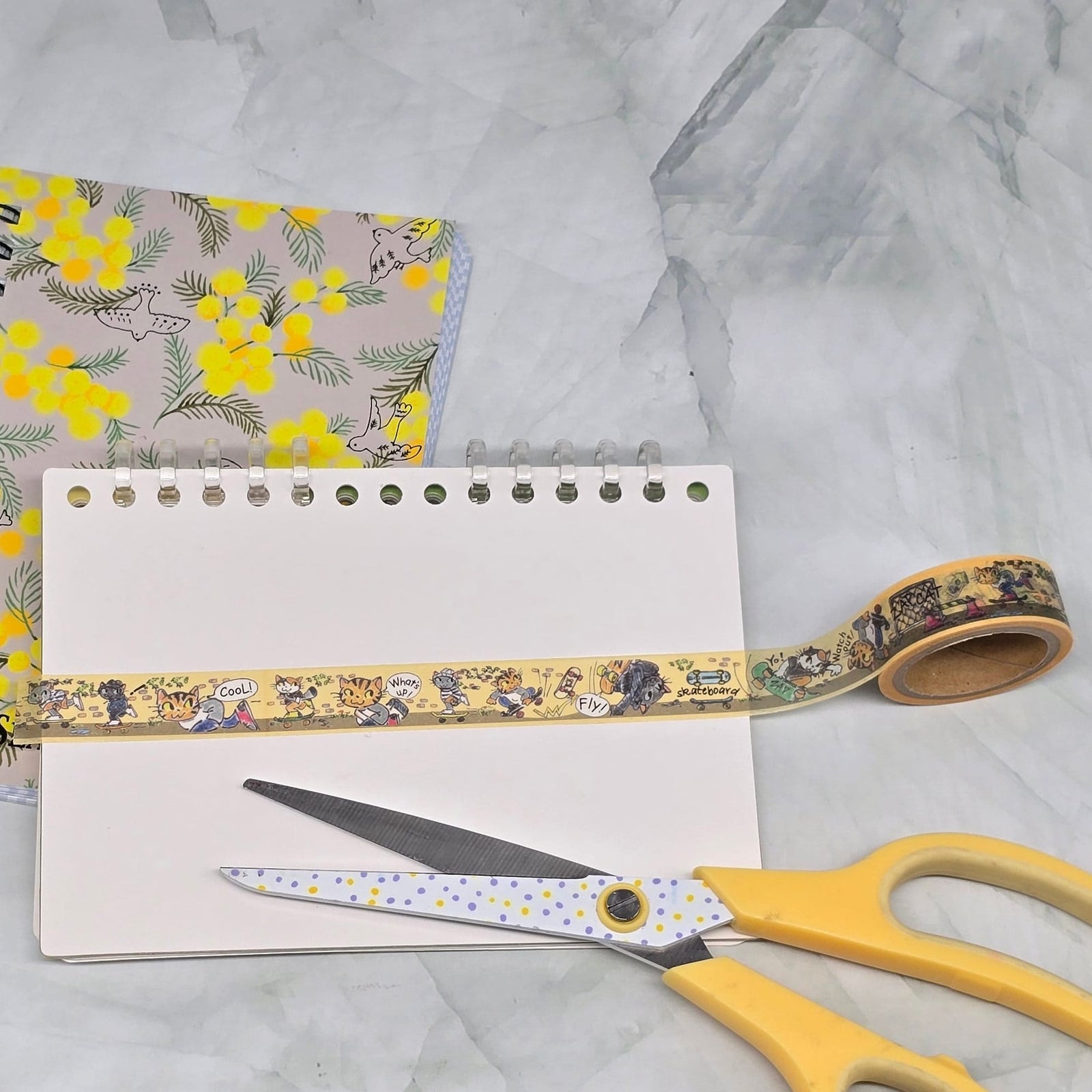 Skateboard Washi Tape