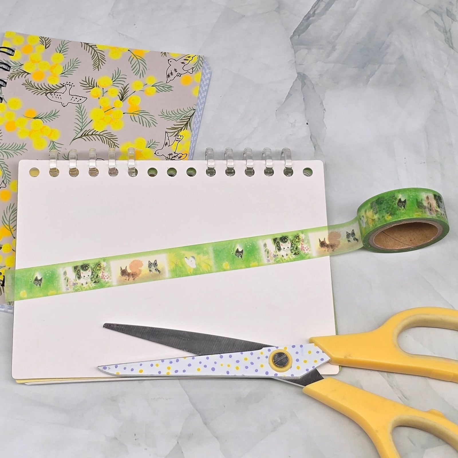 Field Washi Tape