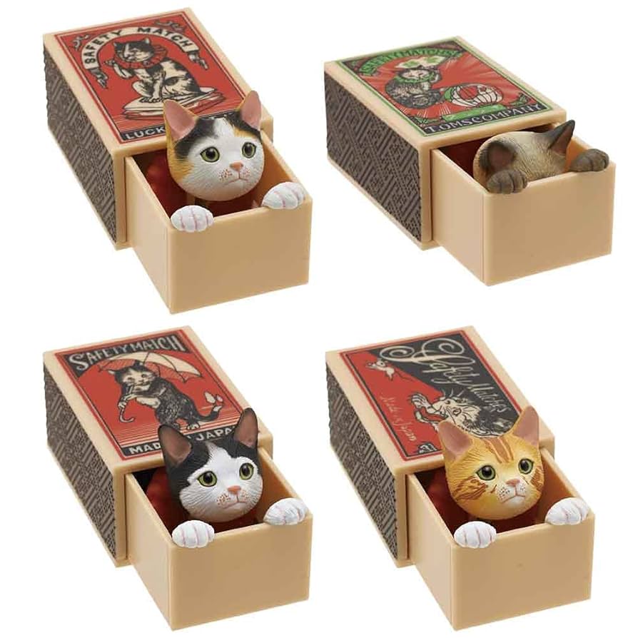 Peekaboo Cat in Matchbox Blind Box