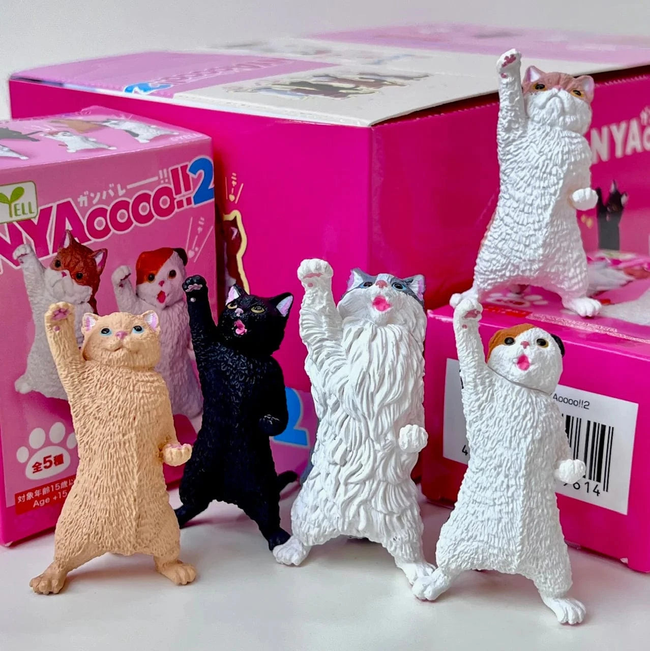 Cat Cheer NYAOOO!  Mini Figure Blind Box
