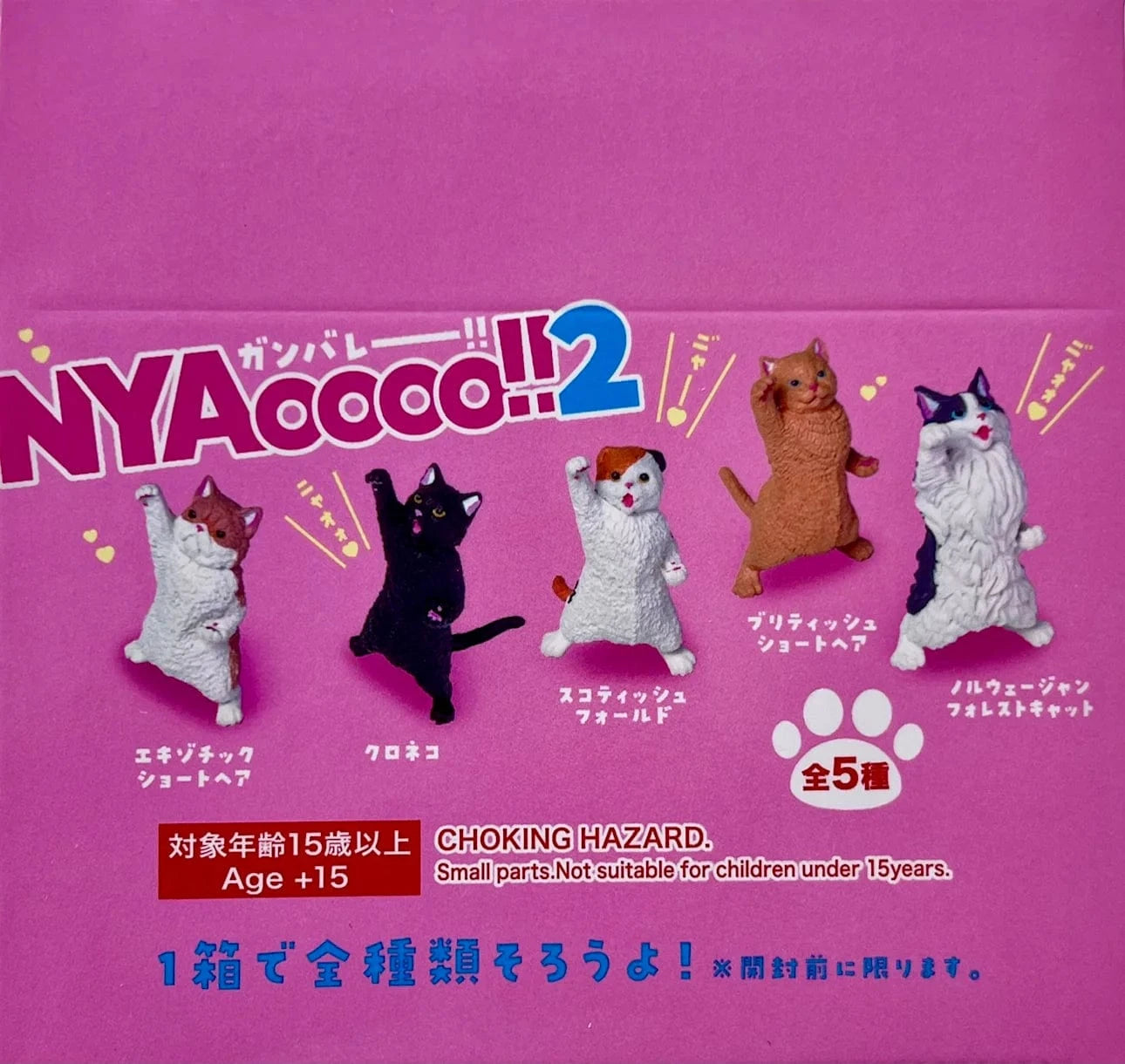Cat Cheer NYAOOO!  Mini Figure Blind Box