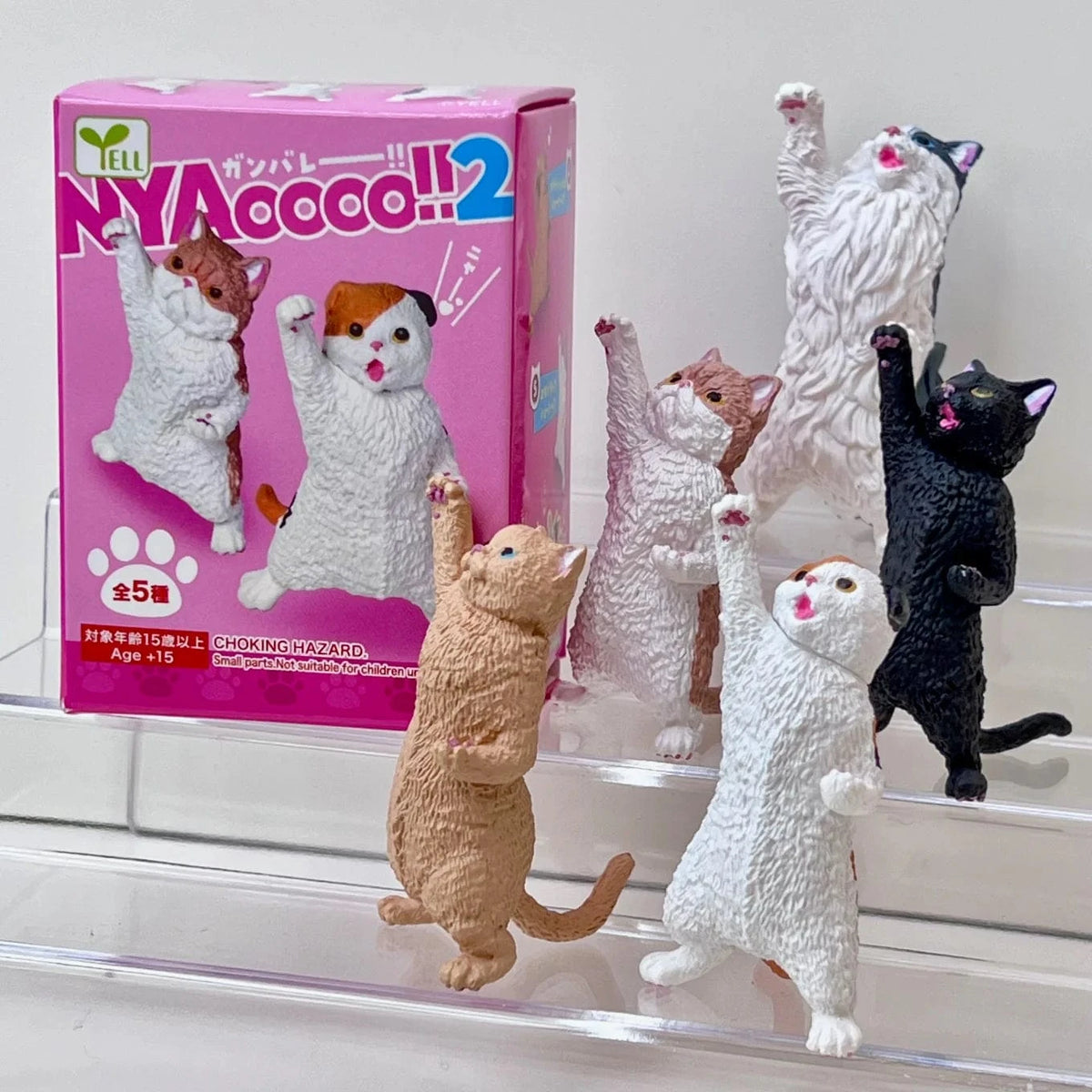 Cat Cheer NYAOOO!  Mini Figure Blind Box
