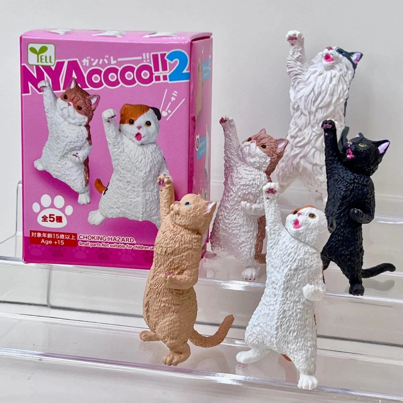 Cat Cheer NYAOOO!  Mini Figure Blind Box