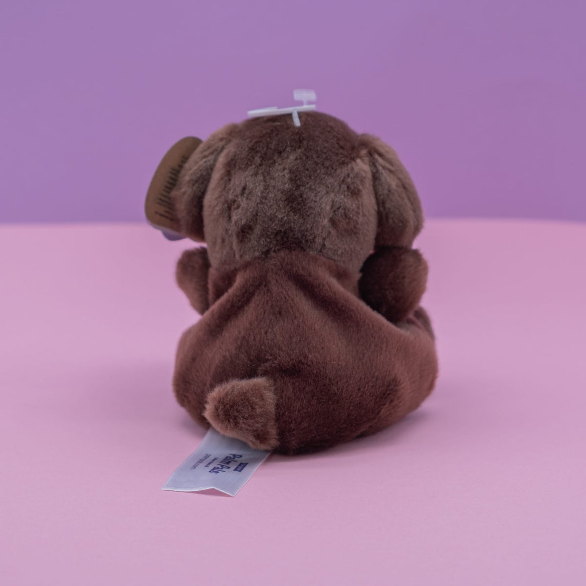 Sienna Chocolate Lab Palm Pals 5" Plush