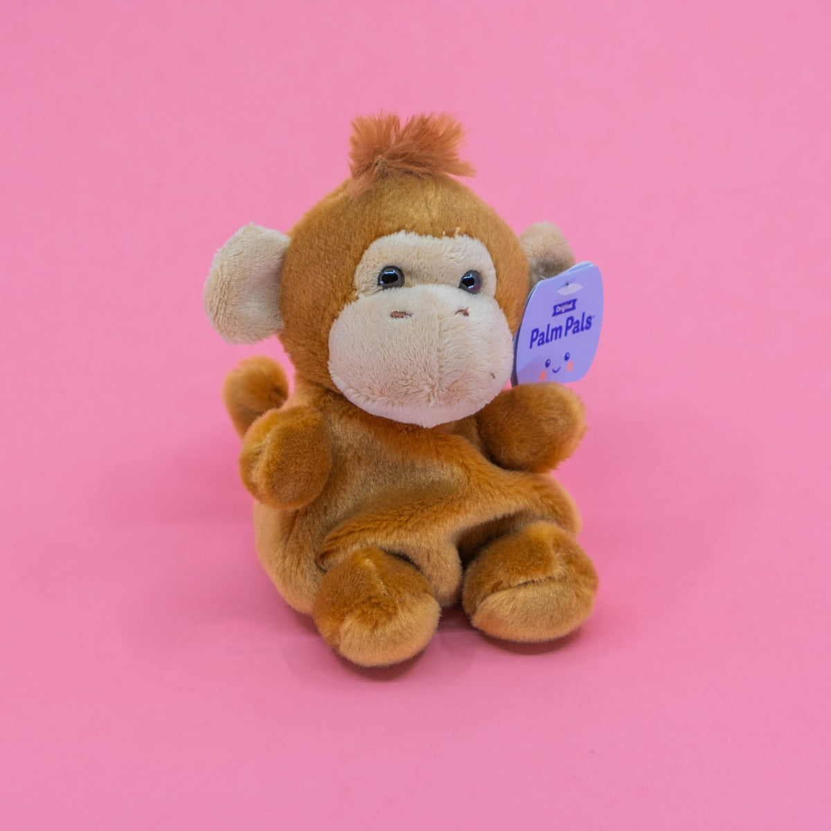 A cute little plush of a monkey.