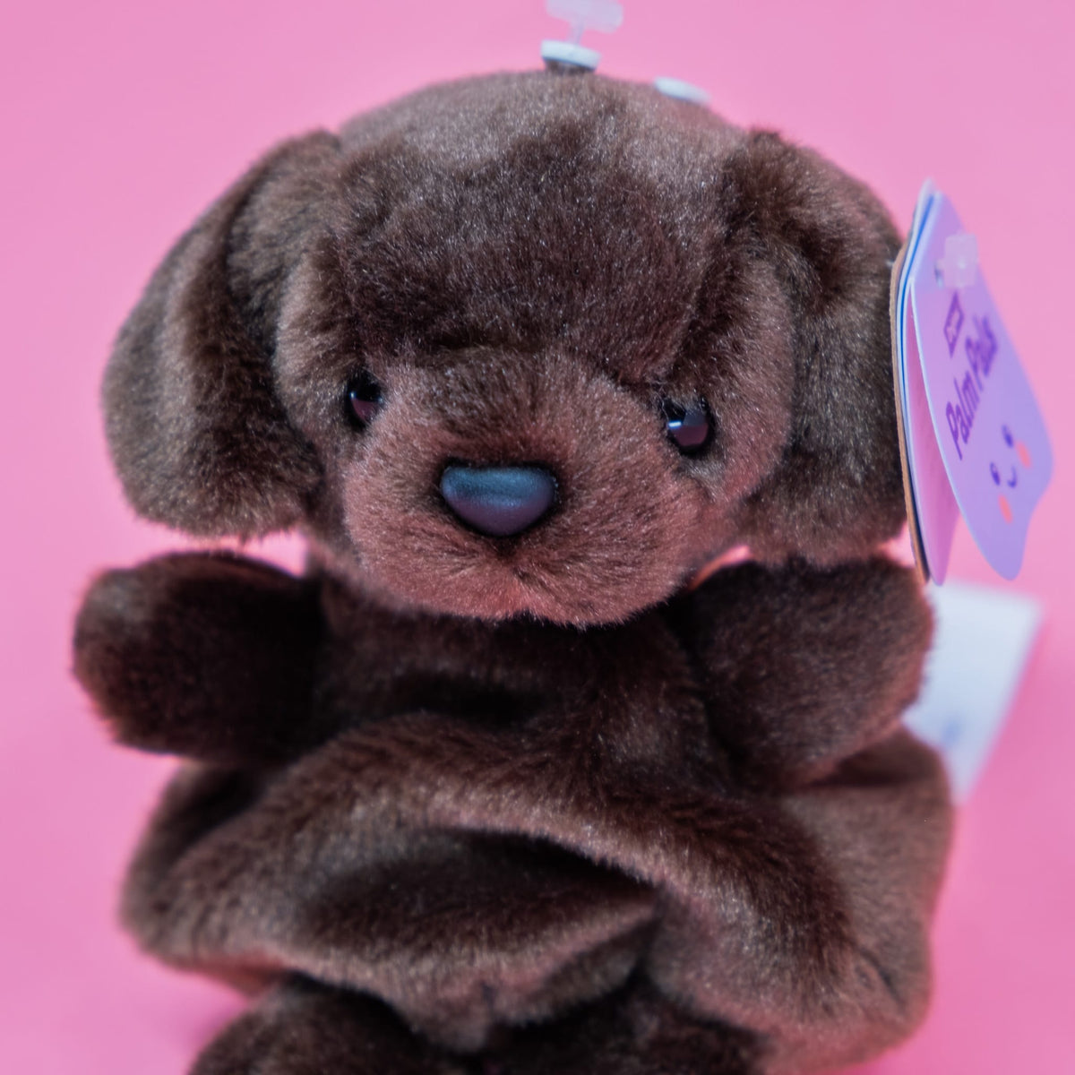 Sienna Chocolate Lab Palm Pals 5" Plush