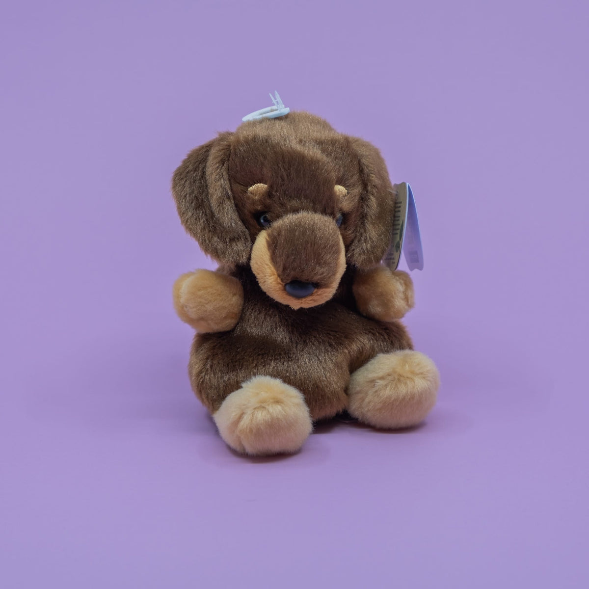 Houdini Dachshund Palm Pals Plush