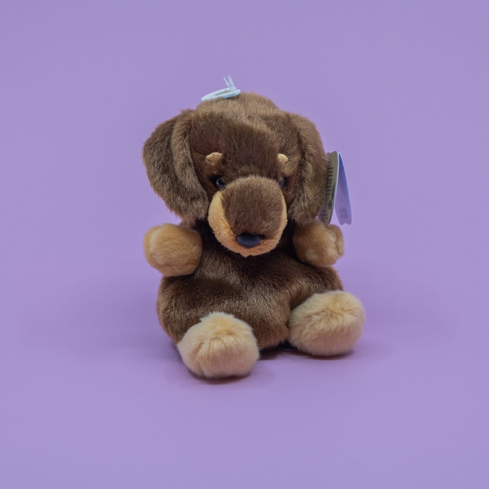 Houdini Dachshund Palm Pals Plush