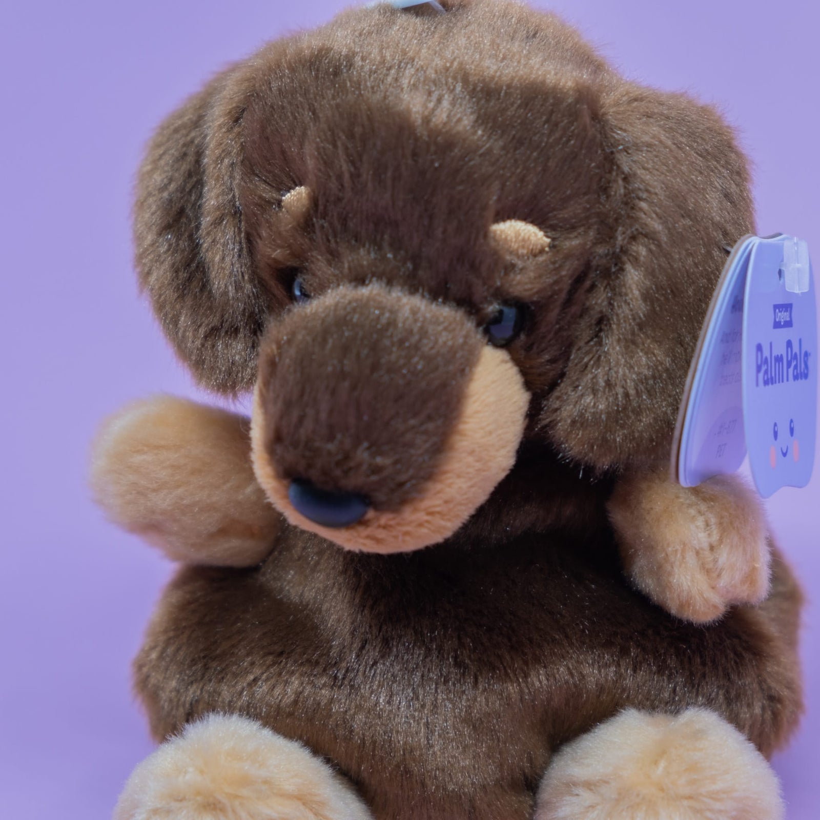 Houdini Dachshund Palm Pals Plush