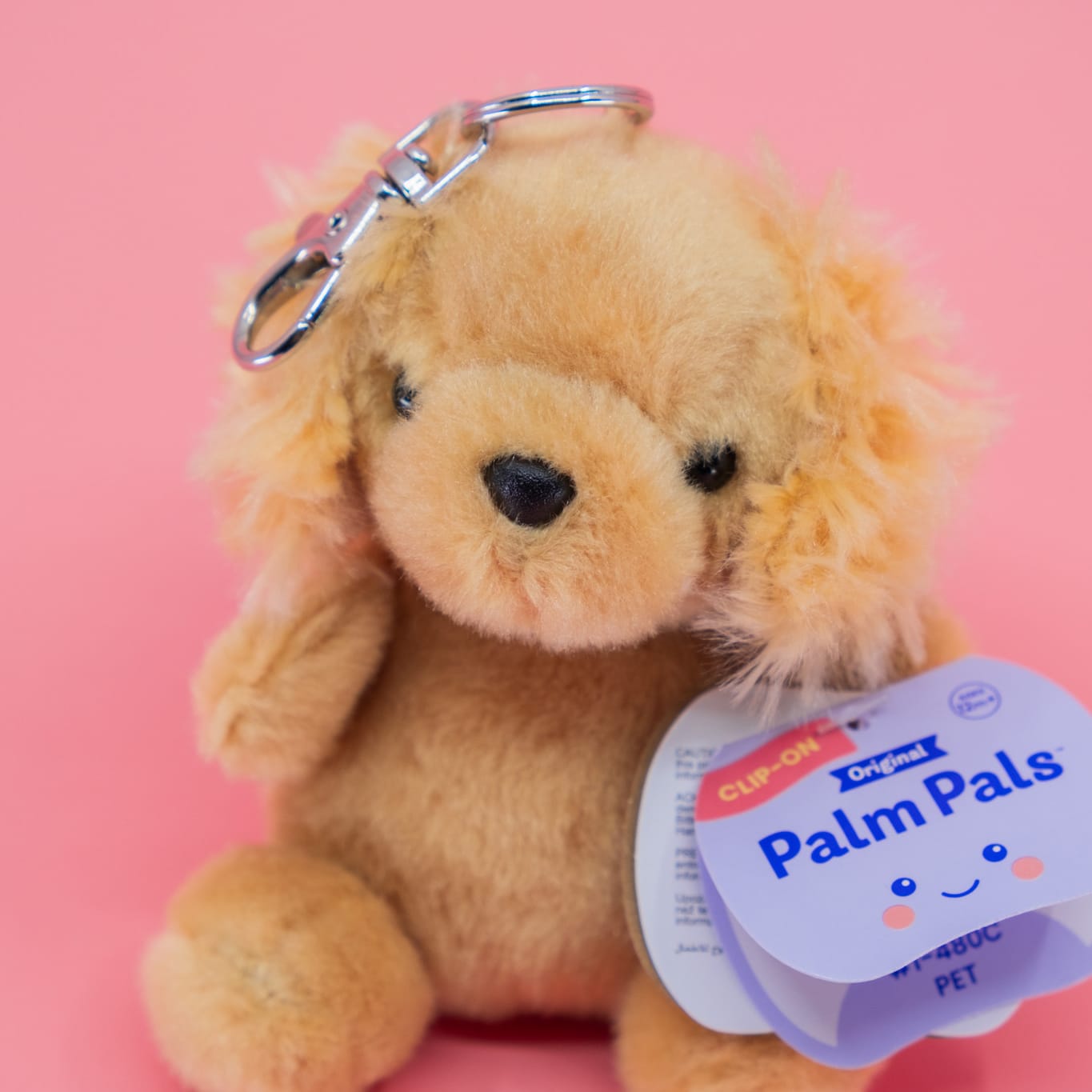 A cute plush of a dog with floppy ears. It has a tag reading "Palm Pals".