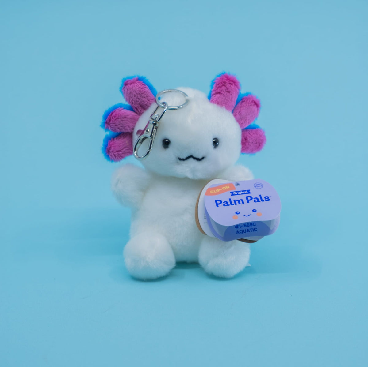 A cute axolotl plush key chain.