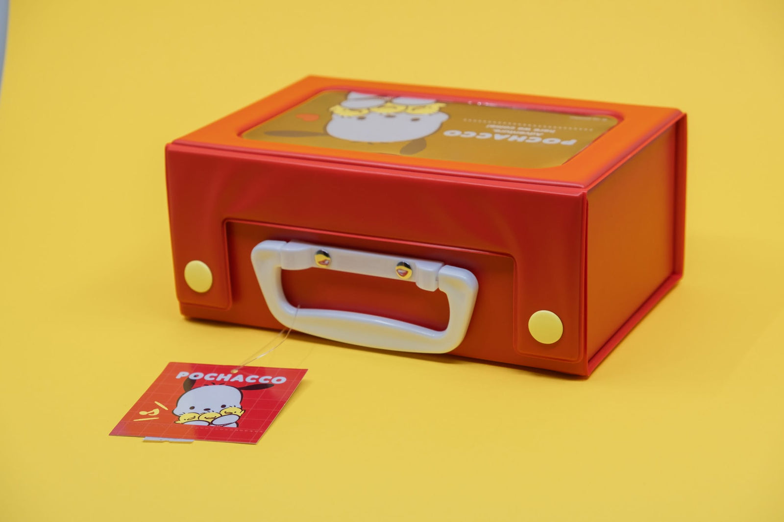 Pochacco & Pi-Chan Trunk Case