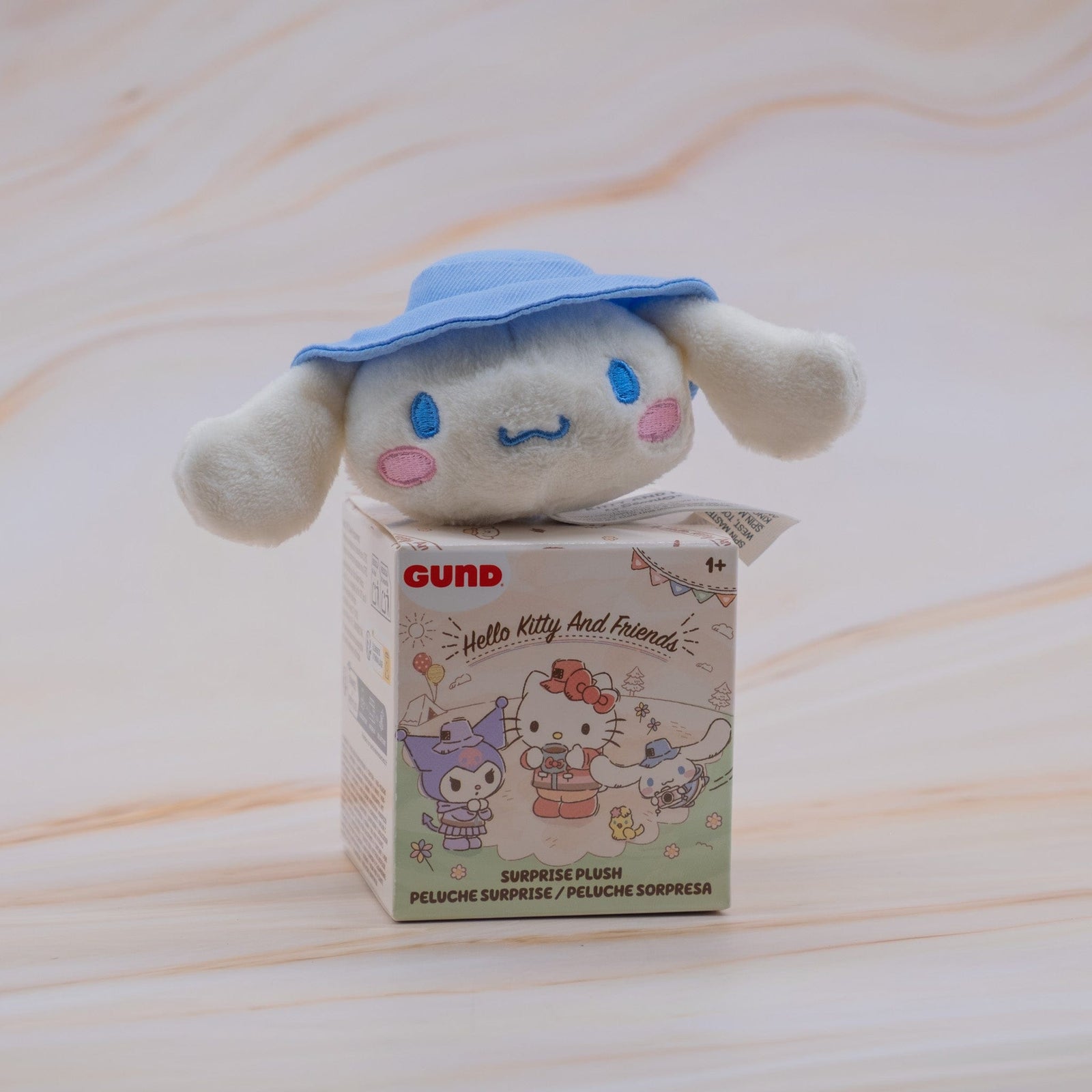 Hello Kitty and Friends Camping Collection Blind Box