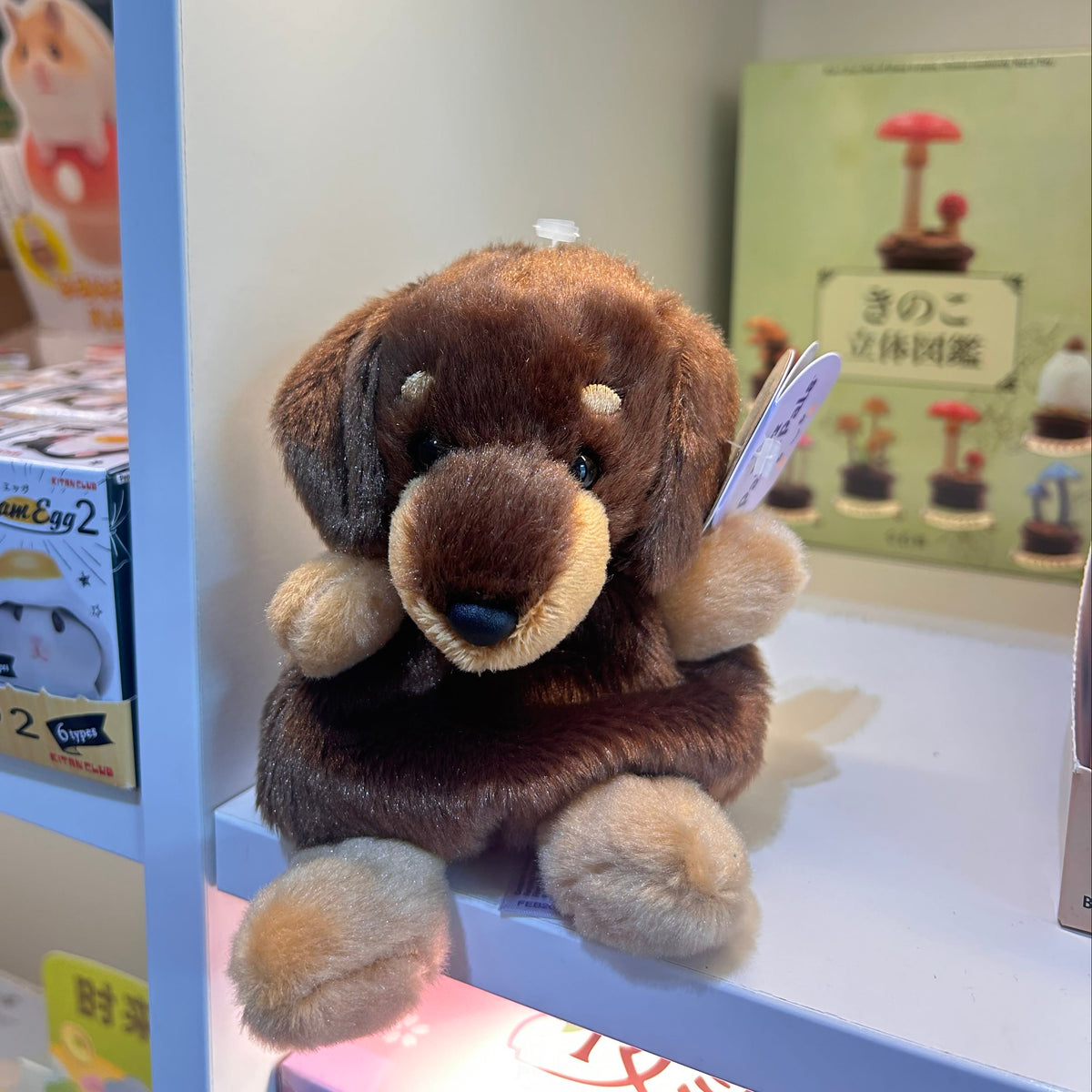 Houdini Dachshund Palm Pals Plush