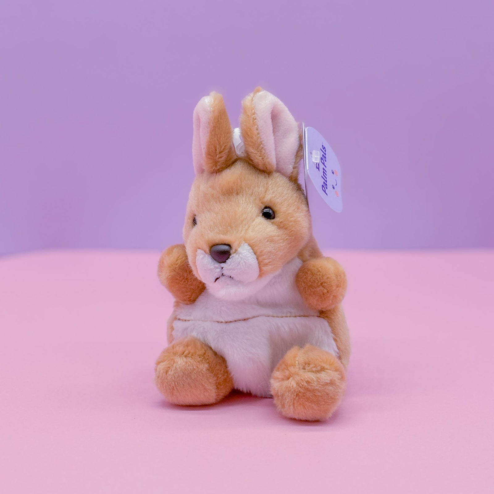 Adelaide Kangaroo Palm Pals 5" Plush