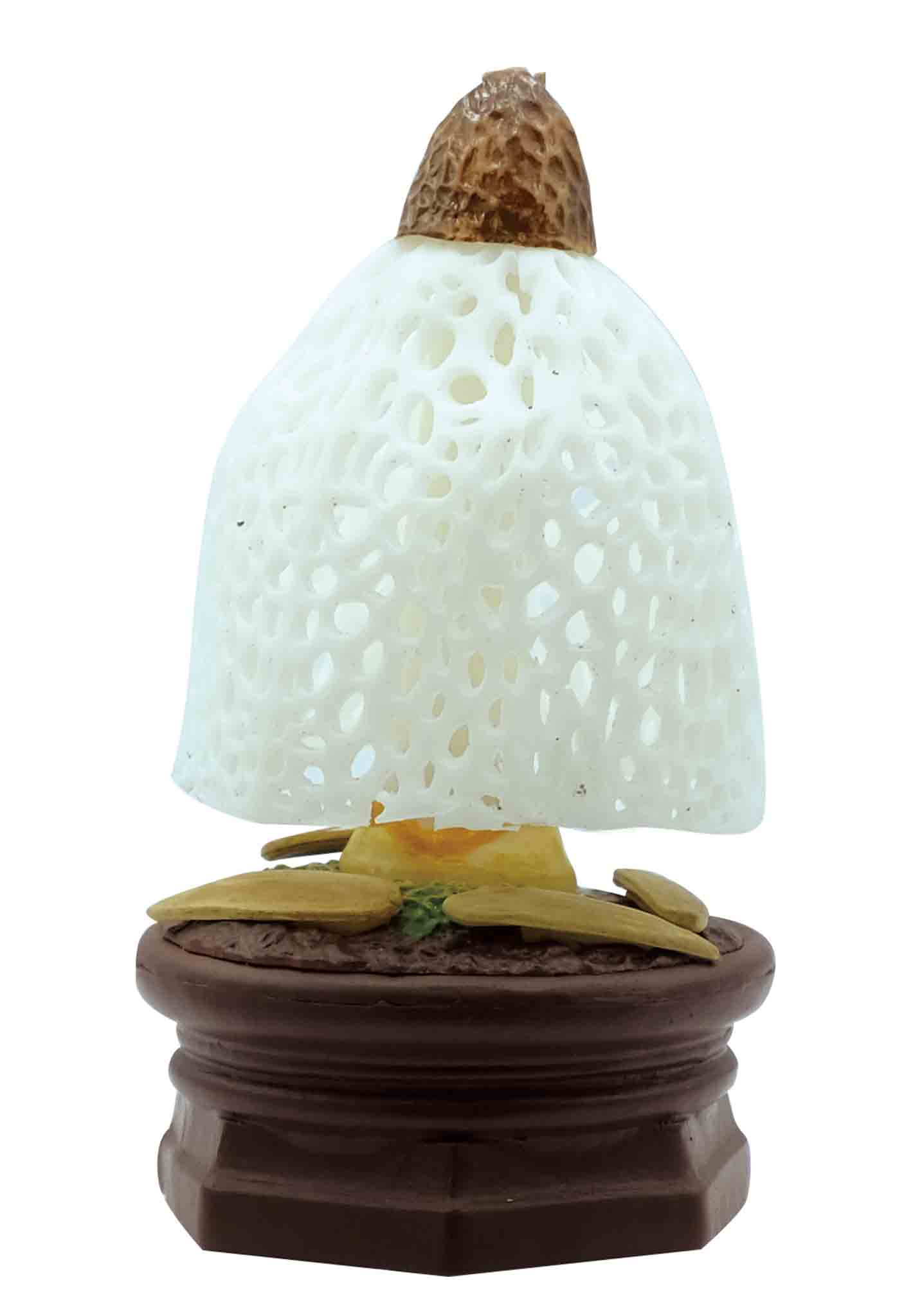 Mushroom Garden Blind Box Version 1