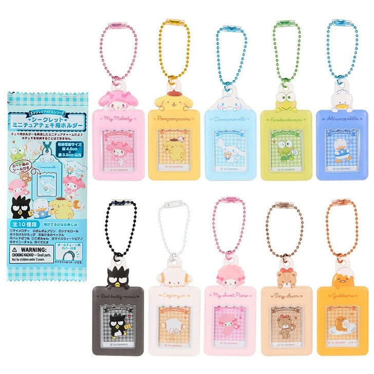 Sanrio Mini Photo Holder Keychain Blind Box Mix B